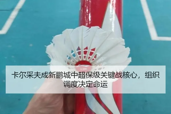ka-er-cai-fu-cheng-xin-peng-cheng-zhong-chao-bao-ji-guan-jian-zhan-he-xin-zu-zhi-diao-du-jue-ding-ming-yun-3-869.jpg