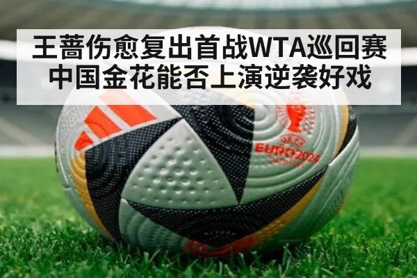 王蔷伤愈复出首战WTA巡回赛 中国金花能否上演逆袭好戏